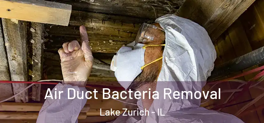  Air Duct Bacteria Removal Lake Zurich - IL
