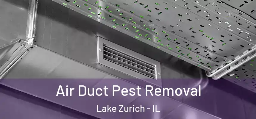  Air Duct Pest Removal Lake Zurich - IL