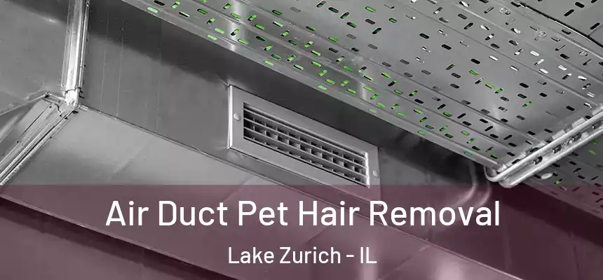  Air Duct Pet Hair Removal Lake Zurich - IL