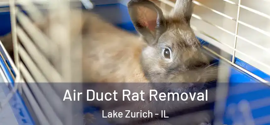  Air Duct Rat Removal Lake Zurich - IL