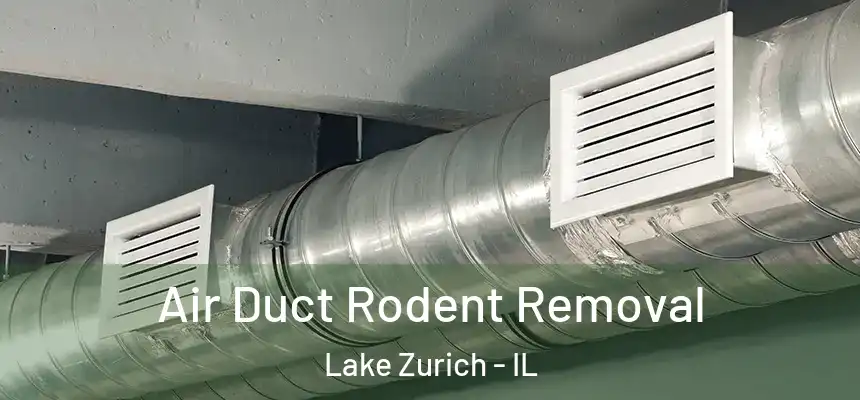  Air Duct Rodent Removal Lake Zurich - IL
