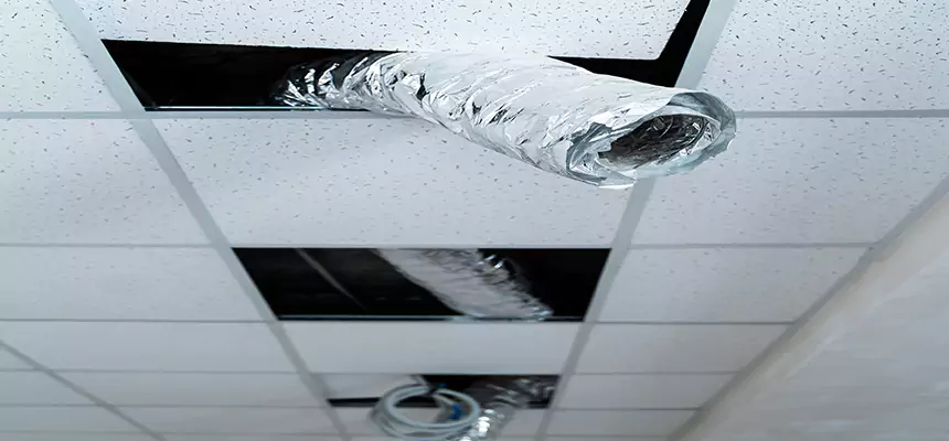 Affordable HVAC Sanitizing After Pest Removal in Lake Zurich