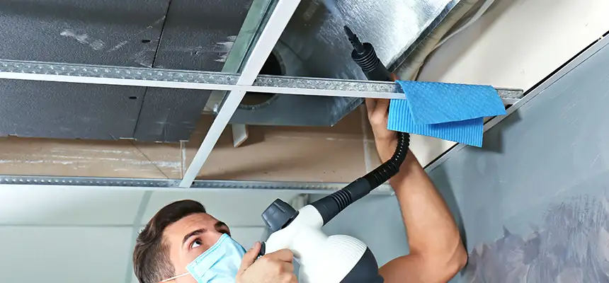 Our Air Duct Rodent Removal Services in Lake Zurich, IL