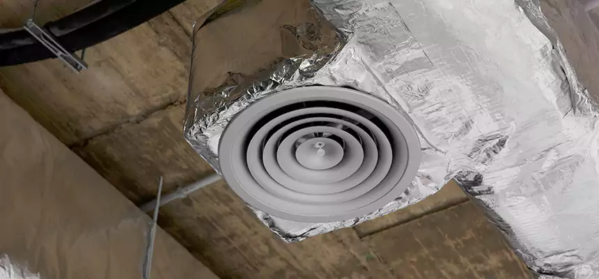 Our Excess Lint Removal from Dryer Ducts Services in Lake Zurich, IL