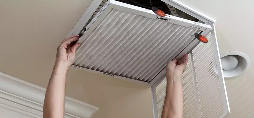 Our Insect Removal from Air Ducts Services in Lake Zurich, IL