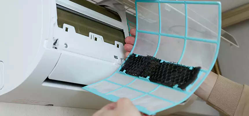 Gentle Ductwork Odor-Control Pet Dander Duct Cleaning in Lake Zurich, IL