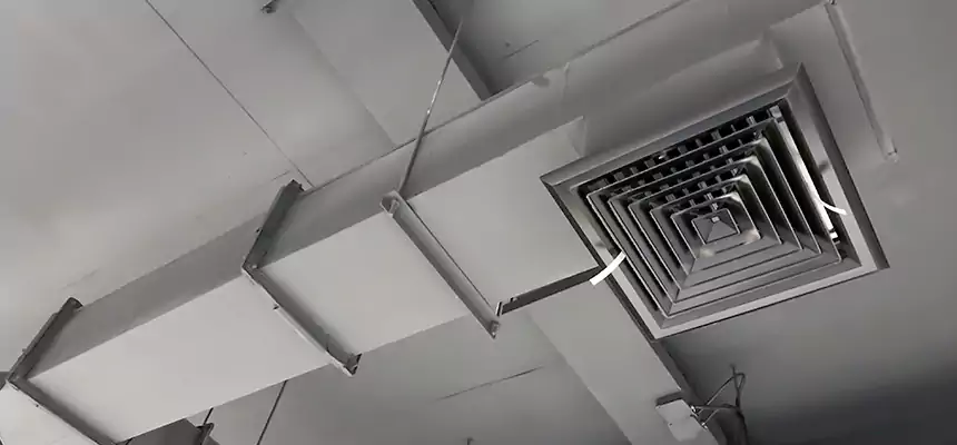 Our Rodent Droppings In Vents Services in Lake Zurich, IL