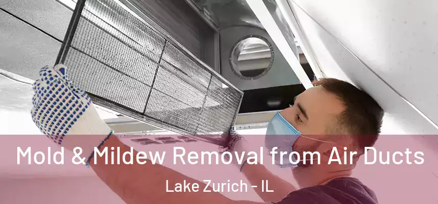  Mold & Mildew Removal from Air Ducts Lake Zurich - IL