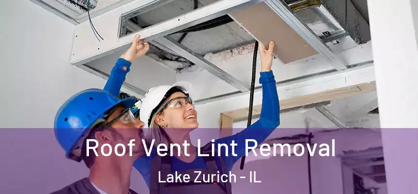 Roof Vent Lint Removal Lake Zurich - IL