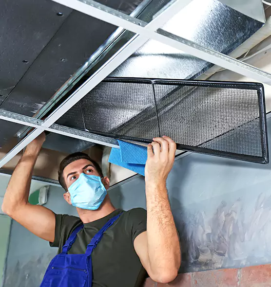 About Air Duct Bacteria Removal in Lake Zurich
