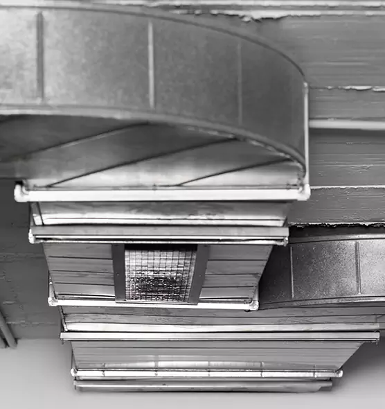 Professional Air Duct Pest Removal in Lake Zurich, IL