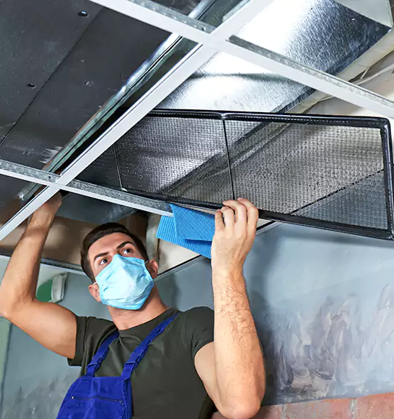 Professional Air Duct Pollen Cleaning in Lake Zurich, IL