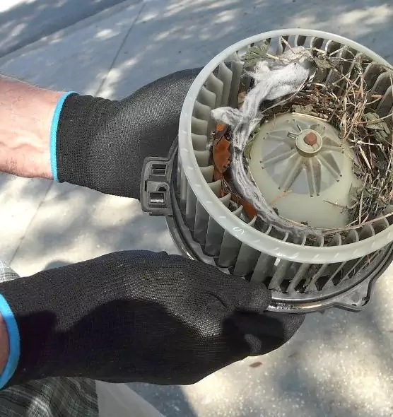 About Air Duct Rat Removal in Lake Zurich, IL