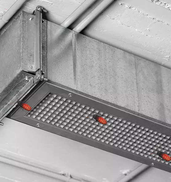 Affordable Insect Removal from Air Ducts in Lake Zurich, IL
