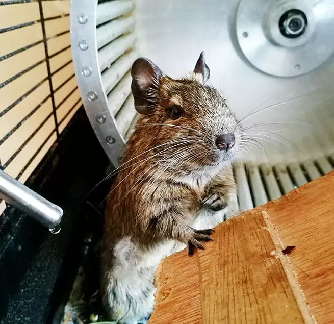 Why Homeowners & Businesses Trust Us Lake Zurich, IL?