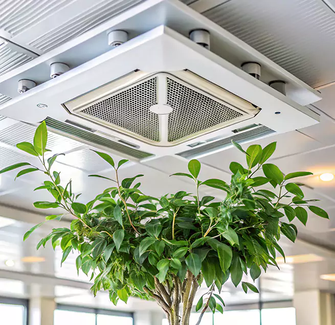 Why Homeowners & Businesses Trust Us in Lake Zurich, IL?