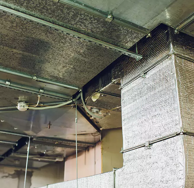 Why Homeowners & Businesses Trust Us in Lake Zurich, IL?