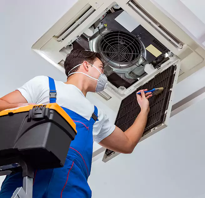 Why Homeowners & Businesses Trust Us in Lake Zurich, IL?